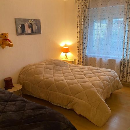 Appartement Au Coeur Des Vosges à Laval-sur-Vologne Extérieur photo