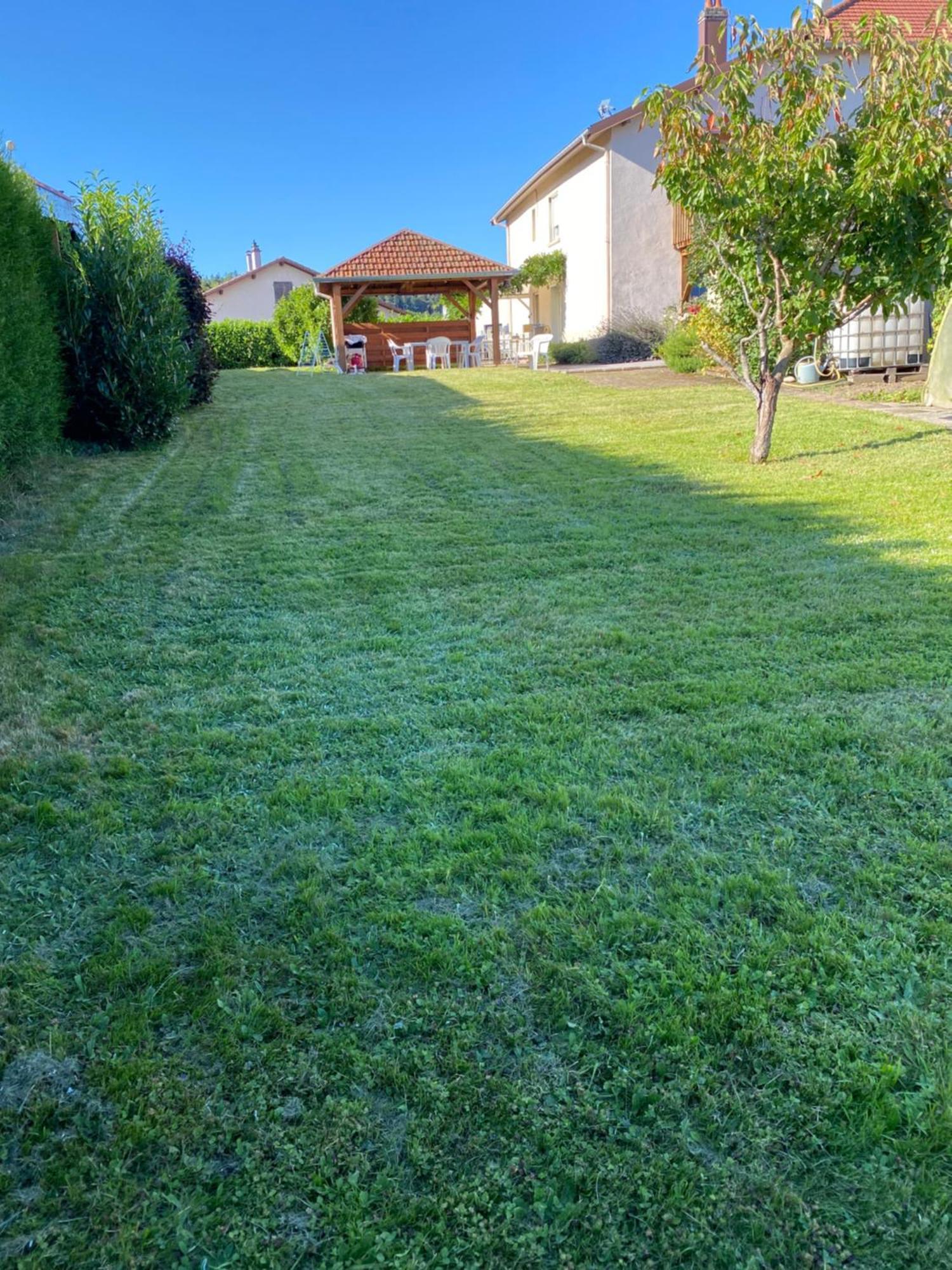 Appartement Au Coeur Des Vosges à Laval-sur-Vologne Extérieur photo